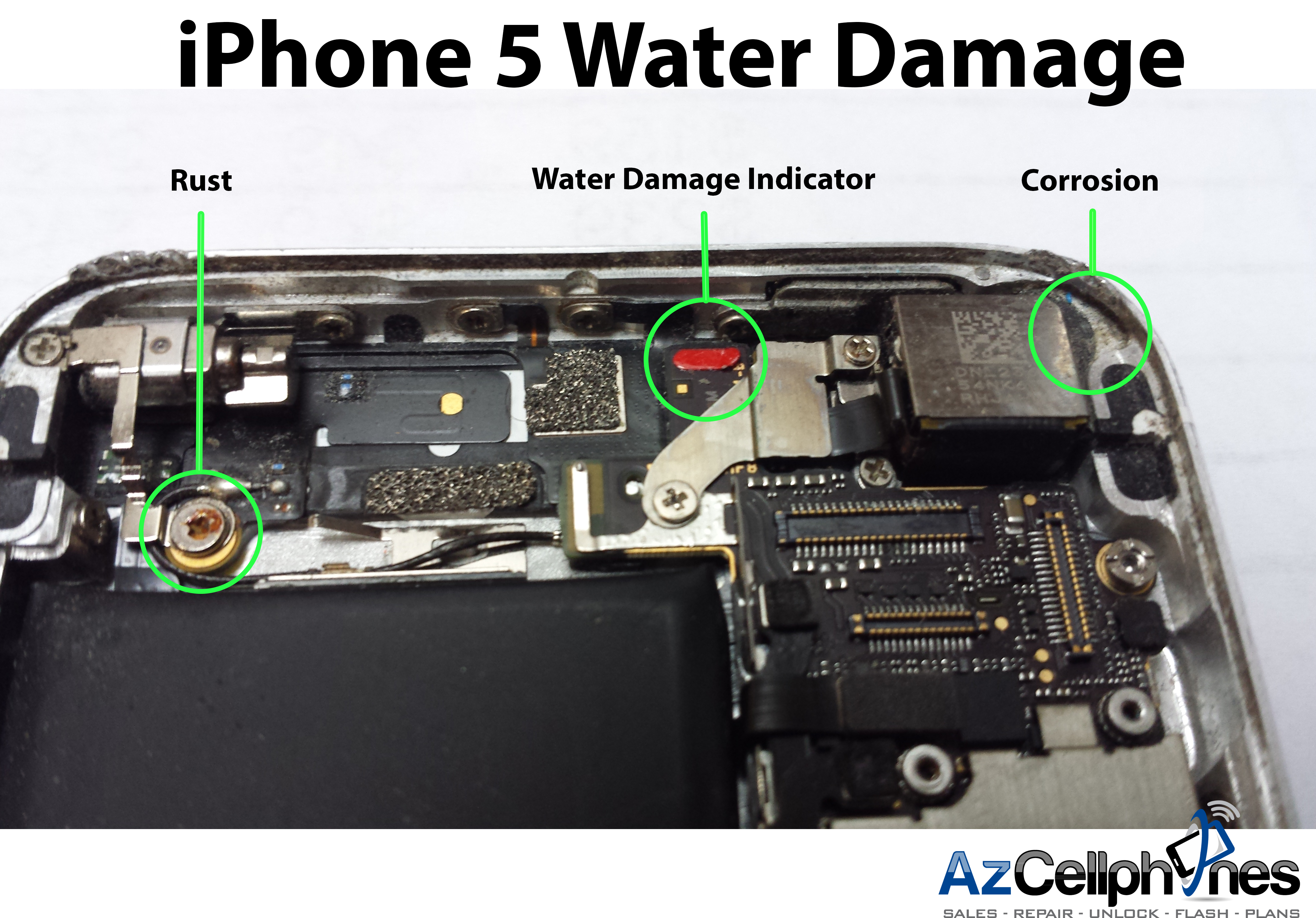 Iphone Water Damage 65